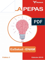 Villapepas Ed. 2019 - Folleto 3 PDF