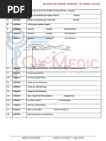 Las Fijas QX 2019 - Cirugia Plastica PDF