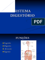 5) Sistema Digestório