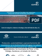 Laboratorio Ciatej PDF