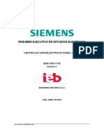 IEBP-049-17-04 (C) Resumen Ejecutivo PDF