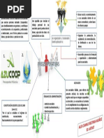 Precooperativas