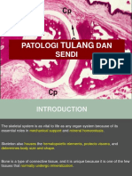 Patologi Tulang Dan Sendi