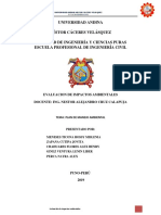 Plan de Manejo Ambiental 1 