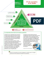 Naturales 6 Modulo 1