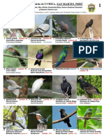 Aves Del Distrito de Uchiza PDF