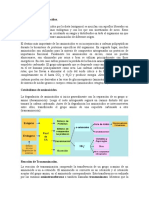 Metabolismo de Aminoácidos