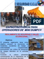 Capacitacion Operadores de Mini-Dumper