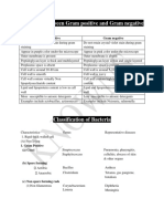 Classification of Bacteria