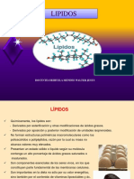 Lipidos Diapositivas 2