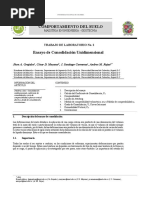 Informe de Consolidación Unidimensional