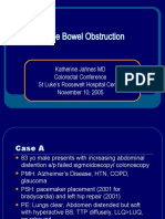 Large Bowel Obstruction: Katherine Jahnes MD Colorectal Conference ST Luke's Roosevelt Hospital Center November 10, 2005