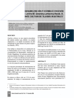 Revigorización y Establecimiento In-Vitro de Gmelina Arborea Roxb v. Mediante Cultivo de Tejidos Vegetales.