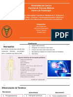 Fisiopatológia