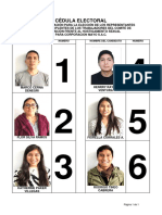 Cédula Electoral CIFHS PDF