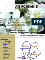 Clase 13-Rosidae I - 2015