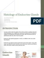 Histologi Organ Endokrin