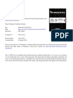 Brain Stem Neural Circuits of Horizontal and Vertical Saccade Systems and