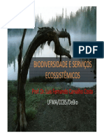 Biodiversidade e Serviços Ecosistemicos