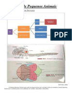 Semiologia Do Sistema Nervoso de Pequenos Animais