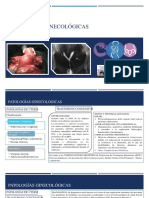 Patologías Ginecológicas: Patolog Útero