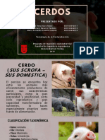 Porc I Cultura