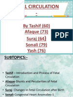 Fetal Circulation (For MBBS)