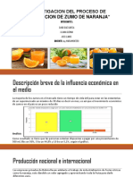 Process Zumo Naranja