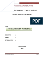 Contaminación Ambiental