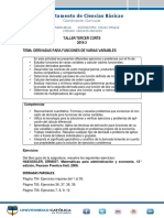 Taller III Cálculo Diferencial de Economia. 2019-3 PDF