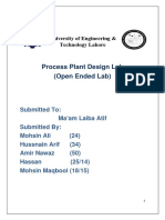 Open Ended Lab PDF