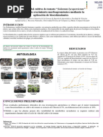 Bioestimulantes Póster Casa Abierta