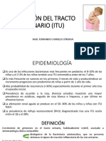 Infección Del Tracto Urinario Upla (Itu)