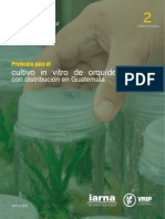 Protocolos para Cultivo in Vitro de Orquideas de Guatemala