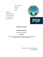 Informe Comunidad Saludable