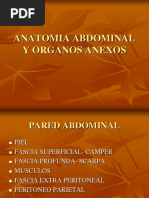 Anatomia Abdominal y Organos Anexos