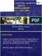 Wln-Normal Labour