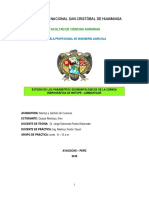 Trabajo Semestral Final PDF