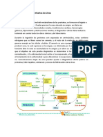 Determinación Cuantitativa de Urea #4