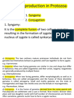 Sexualreproductioninprotozoa 171019143424