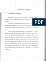 El Expediente Judicial 100962018 PDF