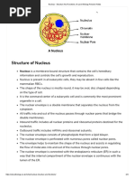 Nucleus - Structure and Functions - A-Level Biology Revision Notes PDF