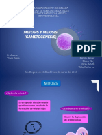 Espermatogenesis y Ovogenesis