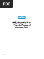 Sykes Hmo 2020 PDF