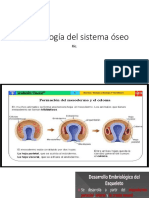 Embriología Del Sistema Óseo