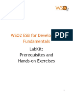 Esb Fundamentals Labs