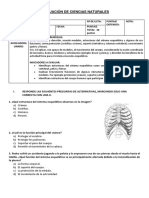 Evaluación de Ciencias Naturales Unidad 3 Cuerpo Humano