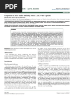 Response of Rice Under Salinity Stress A Review