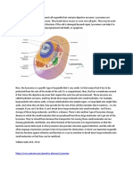 Lysosomes