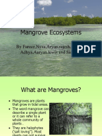 Mangrove Ecosystems1